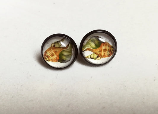 Boucles d'oreilles coquillages